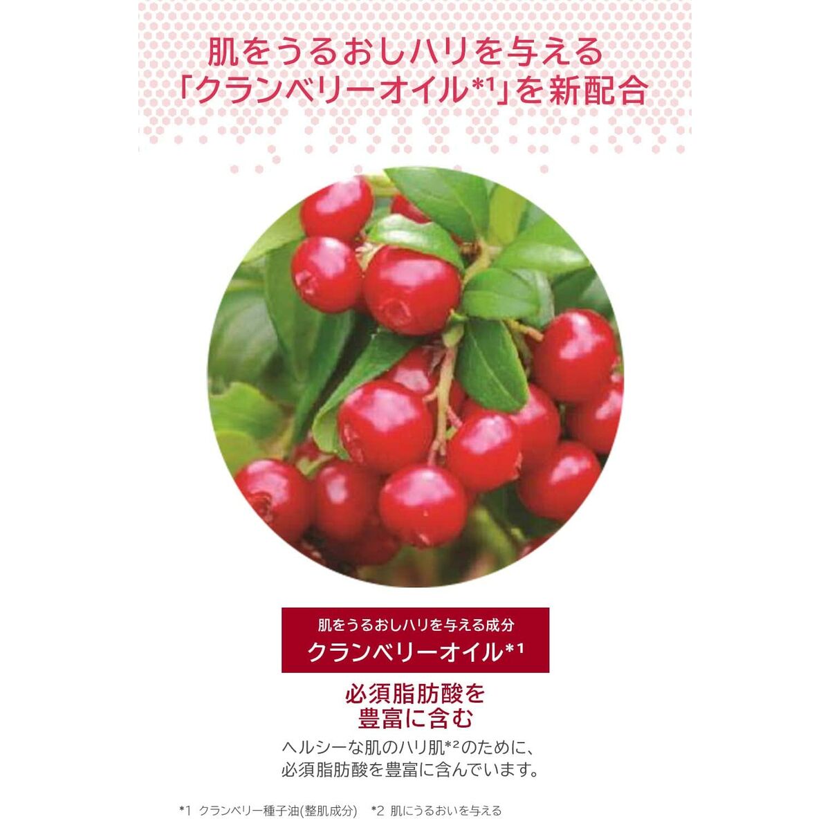Body Lotion Melvita L'OR ROSE-5