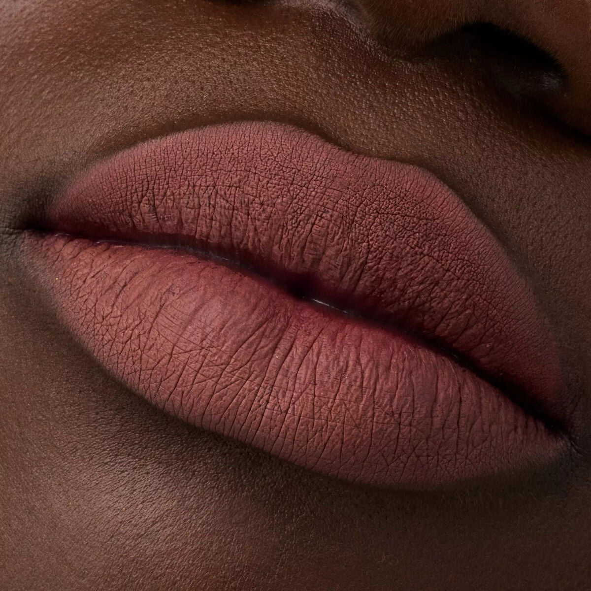 Lip Liner Catrice Plumping Nº 069 Mainhattan 0,35 g-3