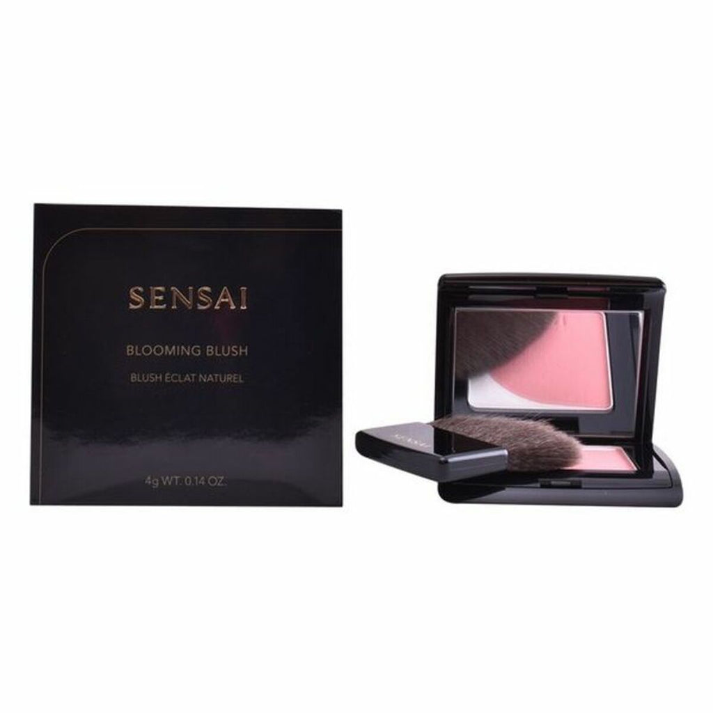 Blush Kanebo 4 g-12