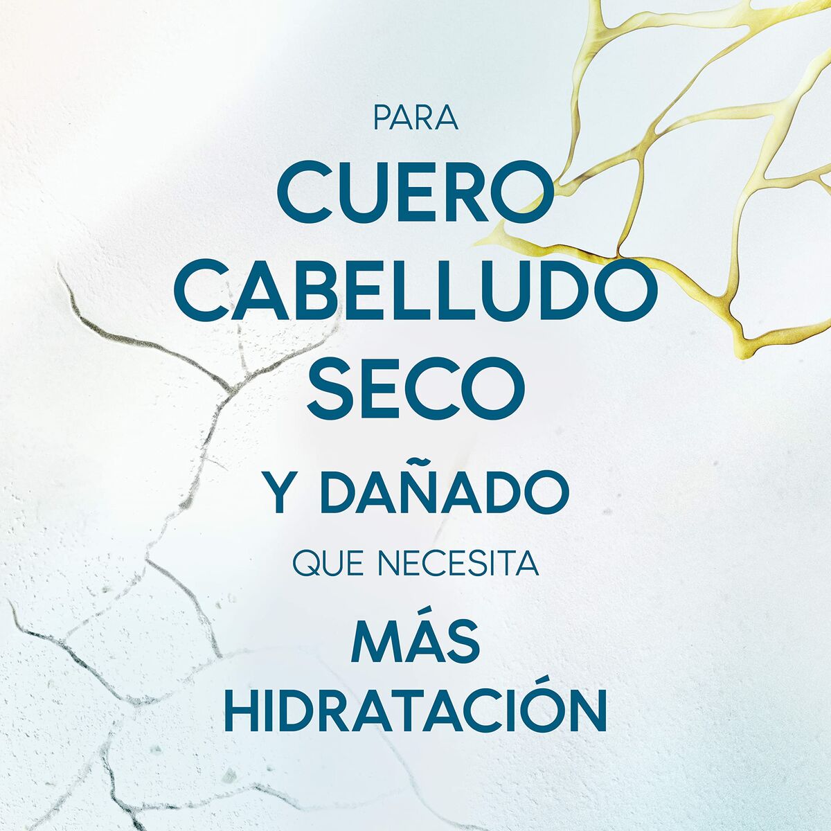 Calming Lotion Head & Shoulders H&S Derma X Pro-6