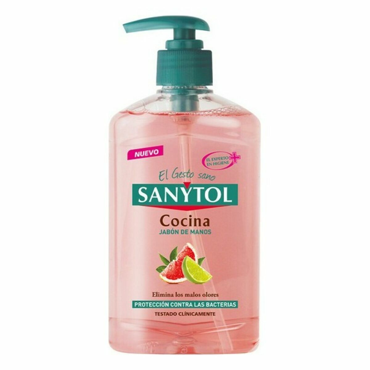 Hand Soap Dispenser Sanytol 280120 Kitchen 250 ml-0
